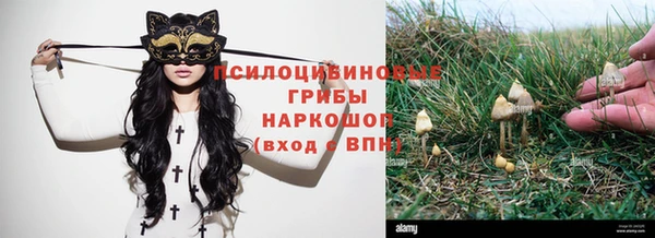 круглые Алексеевка