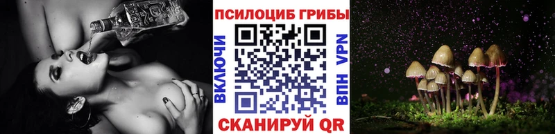 Галлюциногенные грибы Cubensis Геленджик